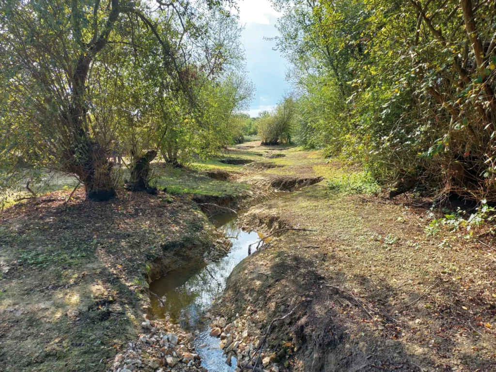 Restauration et aménagement du bassin du Chêne (Chaussée aux Moines) à Vertou.